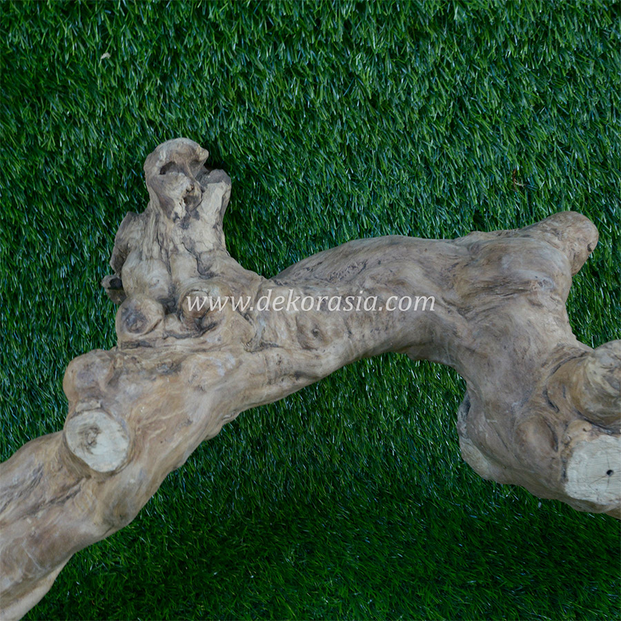 Coffee Wood Craft (Size L) - Coffee Wood for Reptile, Aquarium, Aquascaping - Image 4