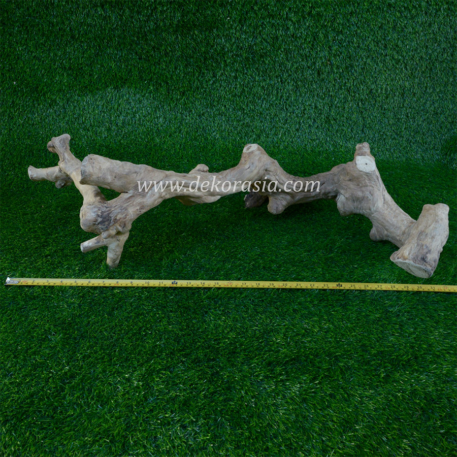 Coffee Wood Craft (Size L) - Coffee Wood for Reptile, Aquarium, Aquascaping - Image 3