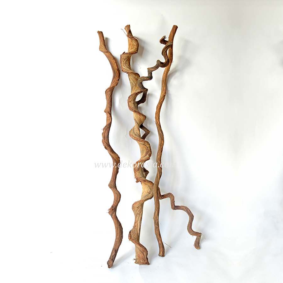 Natural Kasela Vines Wood - Java Wood For Cage - Image 1