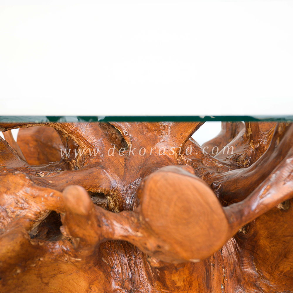 Teak Root Coffee Table with Glass, Teak Root Table Living Room Furniture, Wooden Coffee Tables - Image 4