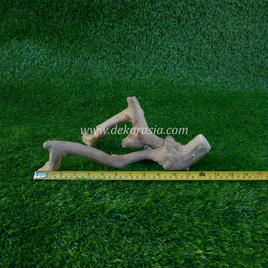 Coffee Wood Craft (Size S) for Reptile, Aquarium, Aquascaping - Coffee Wood Unique - Image 3