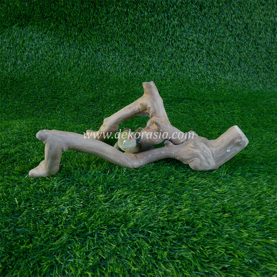 Coffee Wood Craft (Size S) for Reptile, Aquarium, Aquascaping - Coffee Wood Unique - Image 4