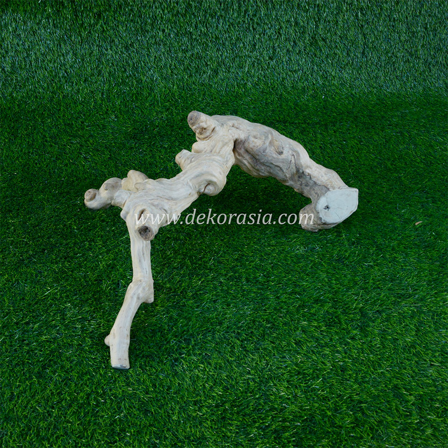 Coffee Wood (Size XS) for Reptile, Aquarium, Aquascaping - Coffee Wood Unique - Image 2
